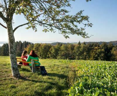 Unterhalb Kaisermatte in G�rwihl