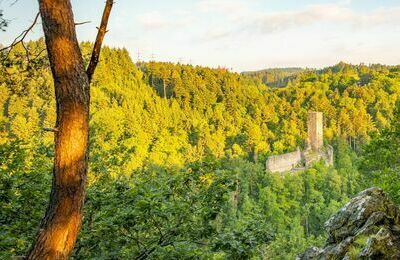 Burgruine Wieladingen&lowbar;K