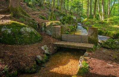 DOD&lowbar;0076&lowbar;Wuhre