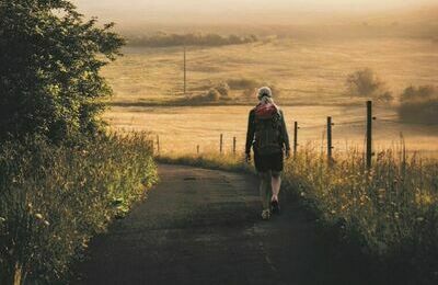 S&Auml;K-HOTZEN-TREK&lowbar;Hotzenwald Tourismus GmbH&lowbar;1